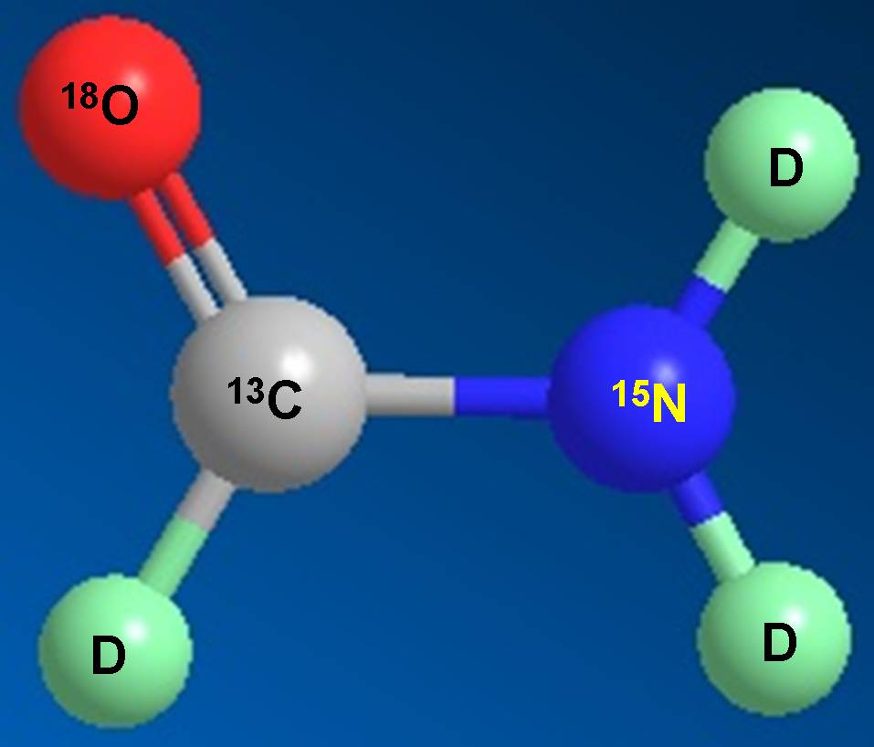 旋乐吧spin8科研职员受邀担当同位素手艺交流培训会讲师