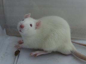 旋乐吧spin8(中国区)手机版官方网站