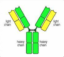 旋乐吧spin8(中国区)手机版官方网站