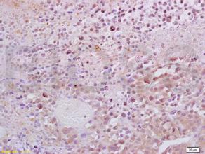 旋乐吧spin8(中国区)手机版官方网站