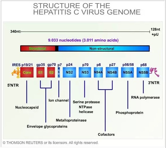 旋乐吧spin8(中国区)手机版官方网站