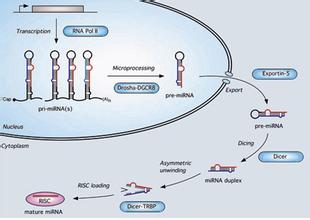 旋乐吧spin8(中国区)手机版官方网站