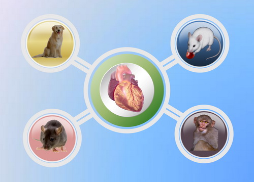 旋乐吧spin8(中国区)手机版官方网站