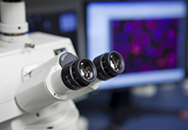 旋乐吧spin8(中国区)手机版官方网站