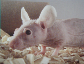 旋乐吧spin8(中国区)手机版官方网站