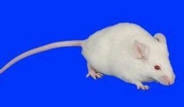 旋乐吧spin8(中国区)手机版官方网站