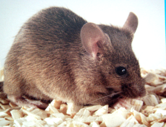 旋乐吧spin8(中国区)手机版官方网站