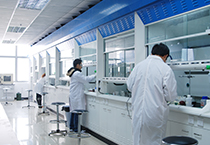 11月1日，，，，旋乐吧spin8生物部和化学部开展年底促销活动