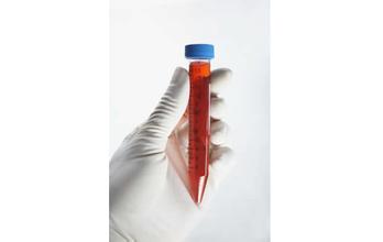 旋乐吧spin8(中国区)手机版官方网站