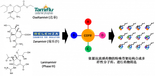 图2：以现有抗流感药物的结构为基础，，，，，，举行多样性药物分子库的合成。。。。。