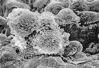 旋乐吧spin8(中国区)手机版官方网站