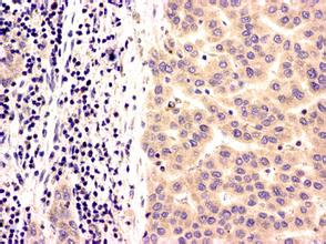 旋乐吧spin8(中国区)手机版官方网站