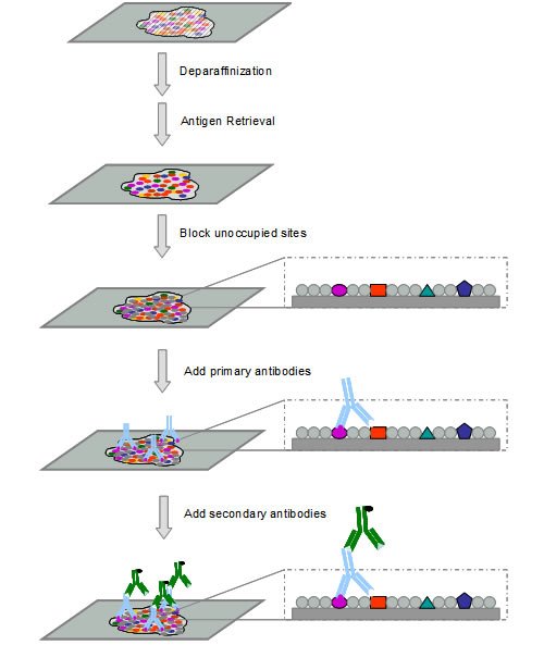 旋乐吧spin8(中国区)手机版官方网站