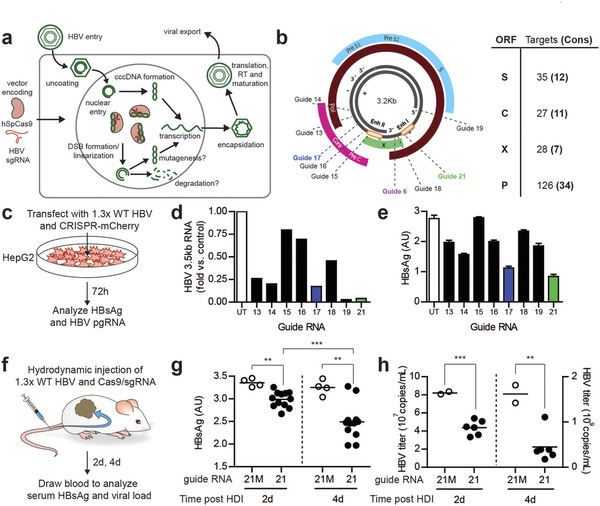 旋乐吧spin8(中国区)手机版官方网站