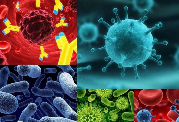 旋乐吧spin8(中国区)手机版官方网站