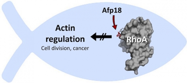 旋乐吧spin8(中国区)手机版官方网站