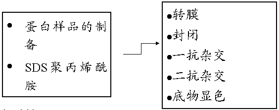 旋乐吧spin8(中国区)手机版官方网站