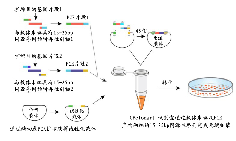 旋乐吧spin8(中国区)手机版官方网站