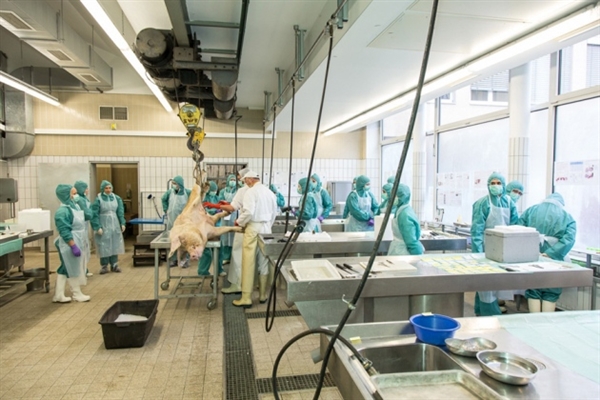 旋乐吧spin8(中国区)手机版官方网站