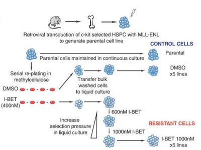 旋乐吧spin8(中国区)手机版官方网站