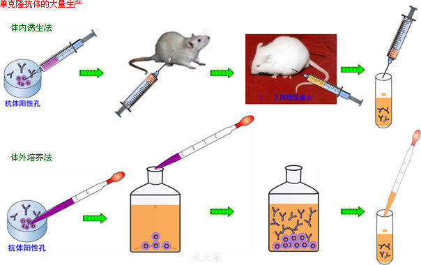 旋乐吧spin8(中国区)手机版官方网站