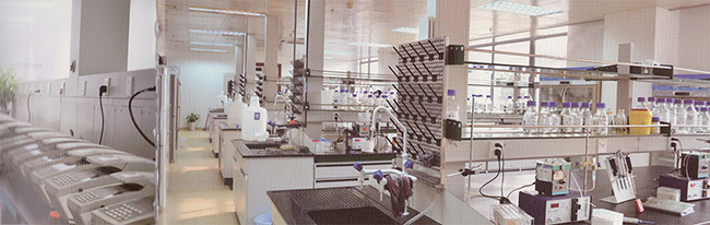 旋乐吧spin8(中国区)手机版官方网站