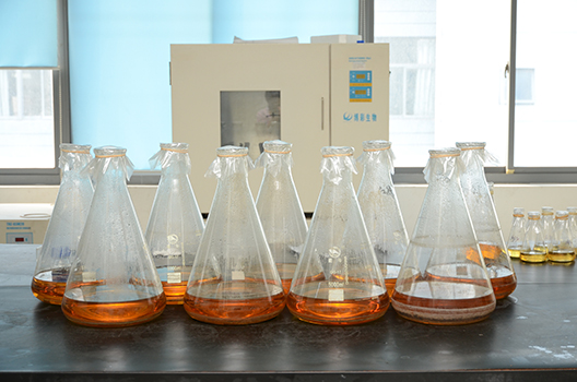 旋乐吧spin8制剂中心GMP中试车间完工