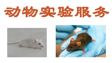 旋乐吧spin8动物实验外包效劳