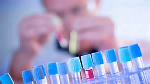 旋乐吧spin8(中国区)手机版官方网站