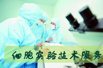 旋乐吧spin8(中国区)手机版官方网站