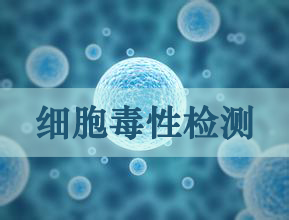 旋乐吧spin8细胞毒性实验效劳