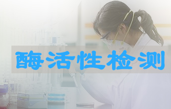 旋乐吧spin8酶活性测定效劳