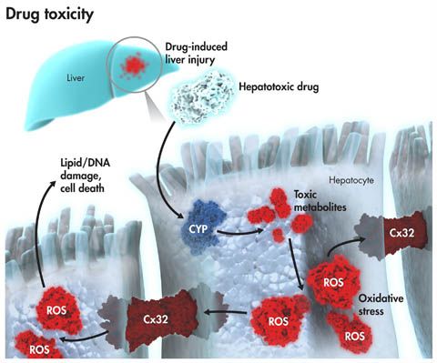 旋乐吧spin8(中国区)手机版官方网站