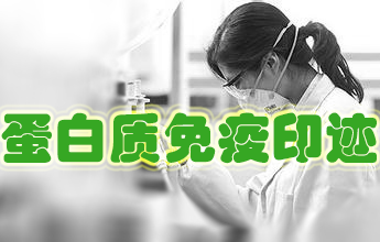 卵白质免疫印迹实验