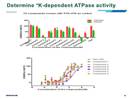 旋乐吧spin8(中国区)手机版官方网站