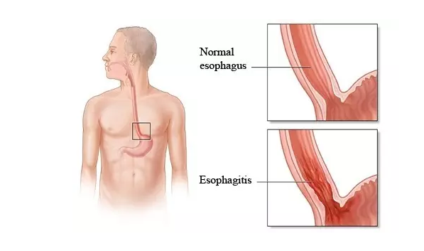 旋乐吧spin8(中国区)手机版官方网站