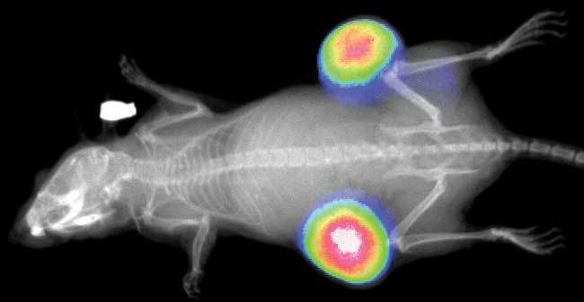 旋乐吧spin8(中国区)手机版官方网站