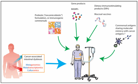 旋乐吧spin8(中国区)手机版官方网站