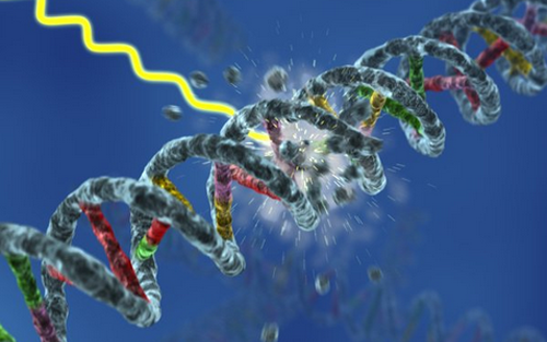 Nature：癌症治疗发明新靶点