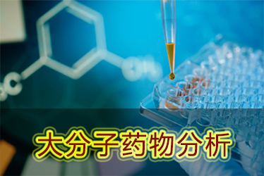 旋乐吧spin8(中国区)手机版官方网站