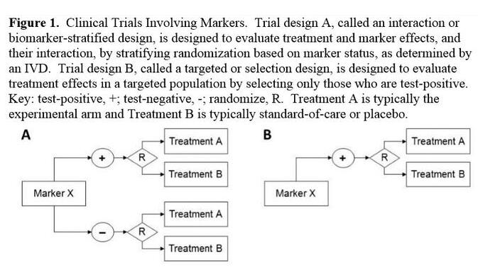 旋乐吧spin8(中国区)手机版官方网站