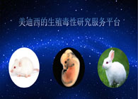 旋乐吧spin8的生殖毒性研究效劳平台