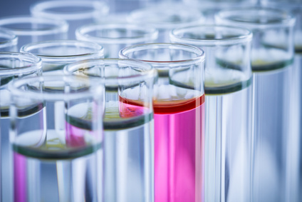 下一家引疯抢的生物手艺公司是谁？？？？？？？