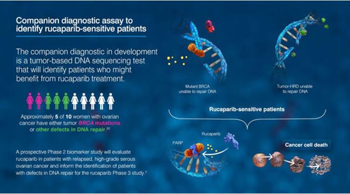 旋乐吧spin8(中国区)手机版官方网站