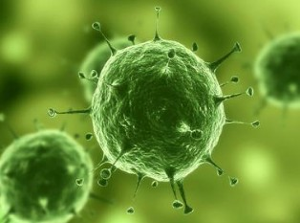 Nature：治疗实体瘤有了明确靶标，，，，肿瘤干细胞确实保存