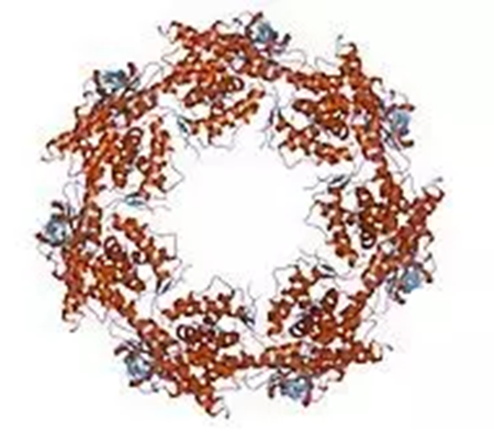 旋乐吧spin8(中国区)手机版官方网站