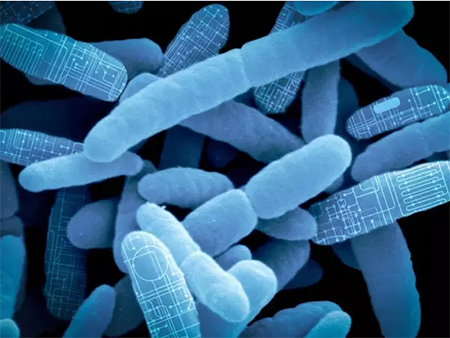 旋乐吧spin8(中国区)手机版官方网站