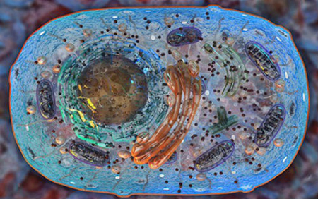 旋乐吧spin8(中国区)手机版官方网站