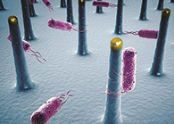 未来的药丸里，，，，可能有一万亿小我私家工刷新的细菌？？？？