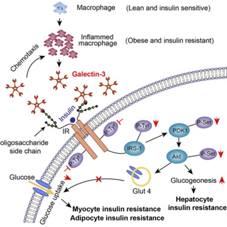 旋乐吧spin8(中国区)手机版官方网站